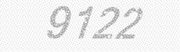 Visual security code — type the characters shown in the image
